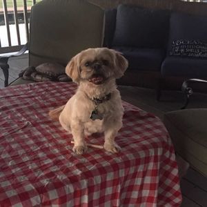 Meet your Posher, Barbara